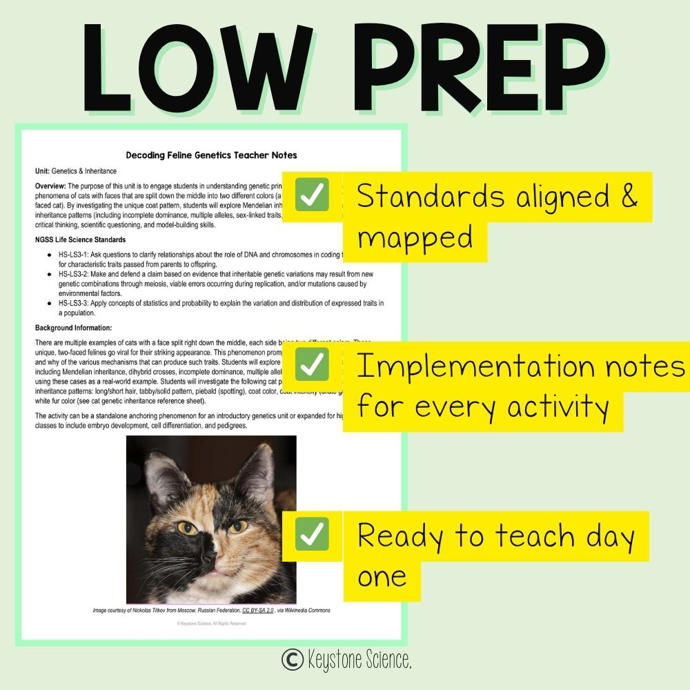 NGSS-Aligned Phenomena-Based Cat Coat Inheritance Genetics Unit Plan