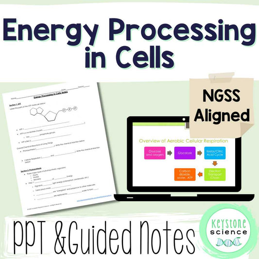 Cellular Respiration Photosynthesis PowerPoint and Guided Notes Keystone Aligned