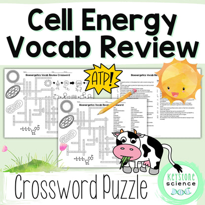 Cell Energy Bioenergetics Vocab Review Crossword Puzzle