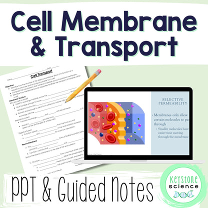 Cell Membrane and Transport PowerPoint and Guided Notes Biology Keystone Aligned