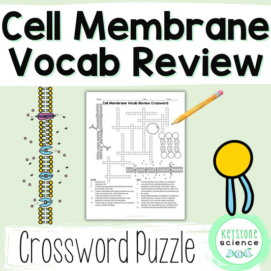 Cell Membrane Structure Vocab Review Crossword Puzzle