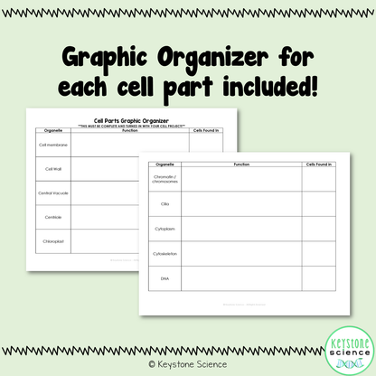 Animal Plant Prokaryotic Cell Parts Organelles Project with Rubric