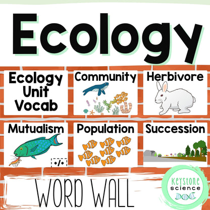 Ecology, Symbiotic Relationships Biology Word Wall and Vocabulary ELL, ESL