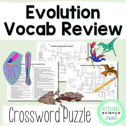 Evolution Vocabulary Review Crossword Puzzle | Natural Selection & Biology Activity