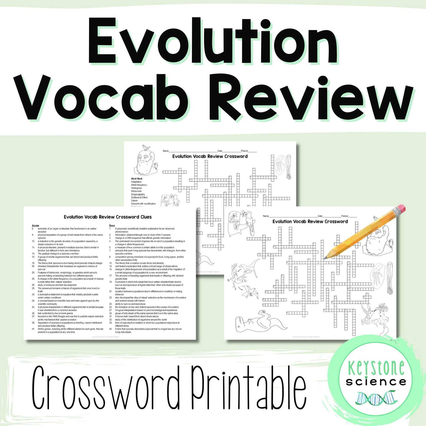 Evolution Vocabulary Review Crossword Puzzle