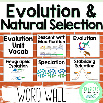 Evolution Word Wall Vocabulary Signs