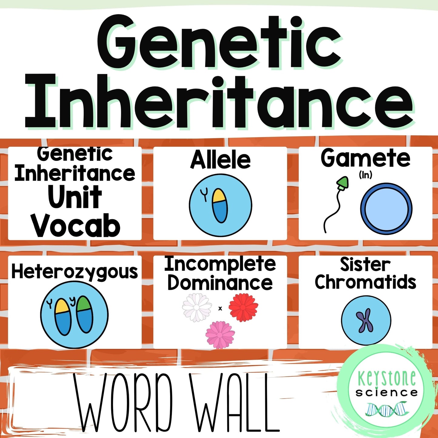 Genetics, Mendelian & Non-Mendelian Inheritance Word Wall & Vocabulary ELL, ESL