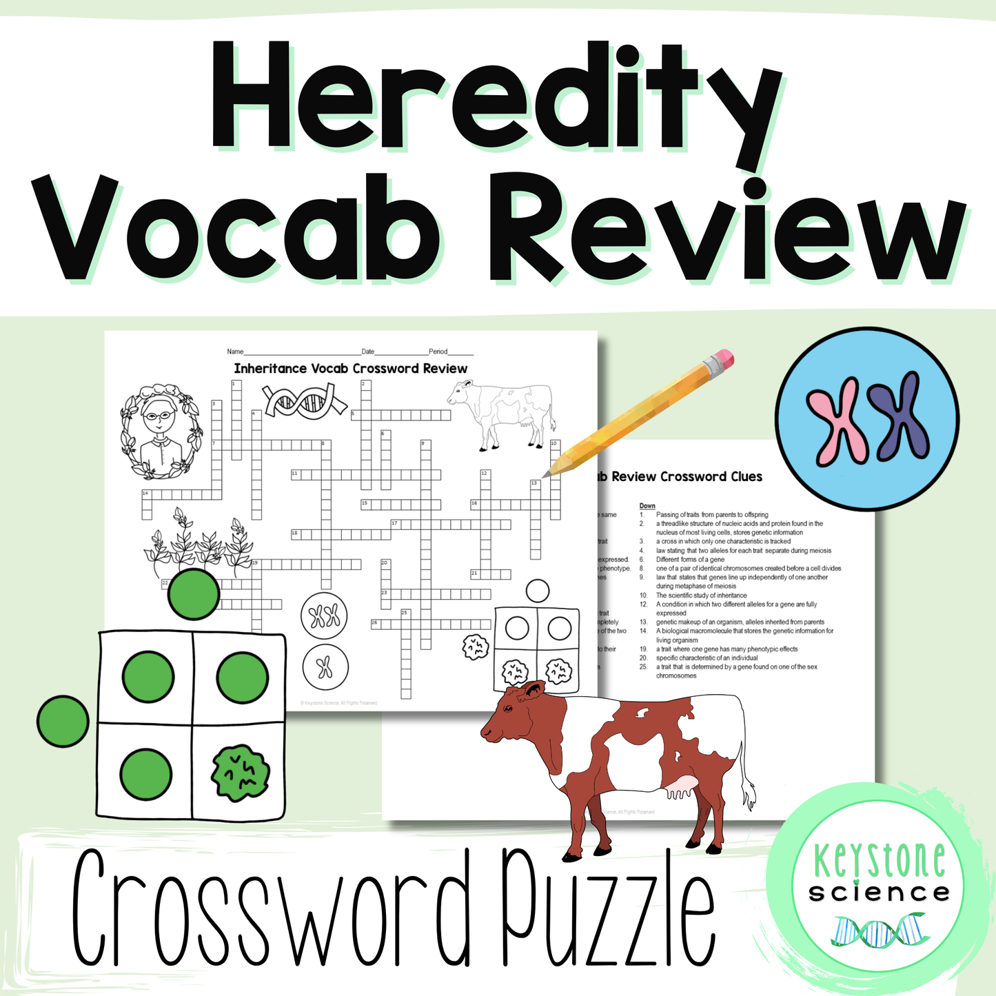 Genetics, Mendelian and Non-Mendelian Inheritance Vocab Review Crossword Puzzle