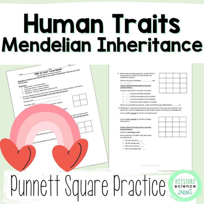 Punnett Square Worksheet Mendelian Valentine's Day Monohybrid Dihybrid NGSS