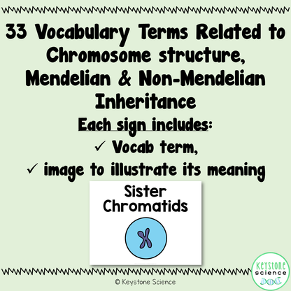 Genetics, Mendelian & Non-Mendelian Inheritance Word Wall & Vocabulary ELL, ESL