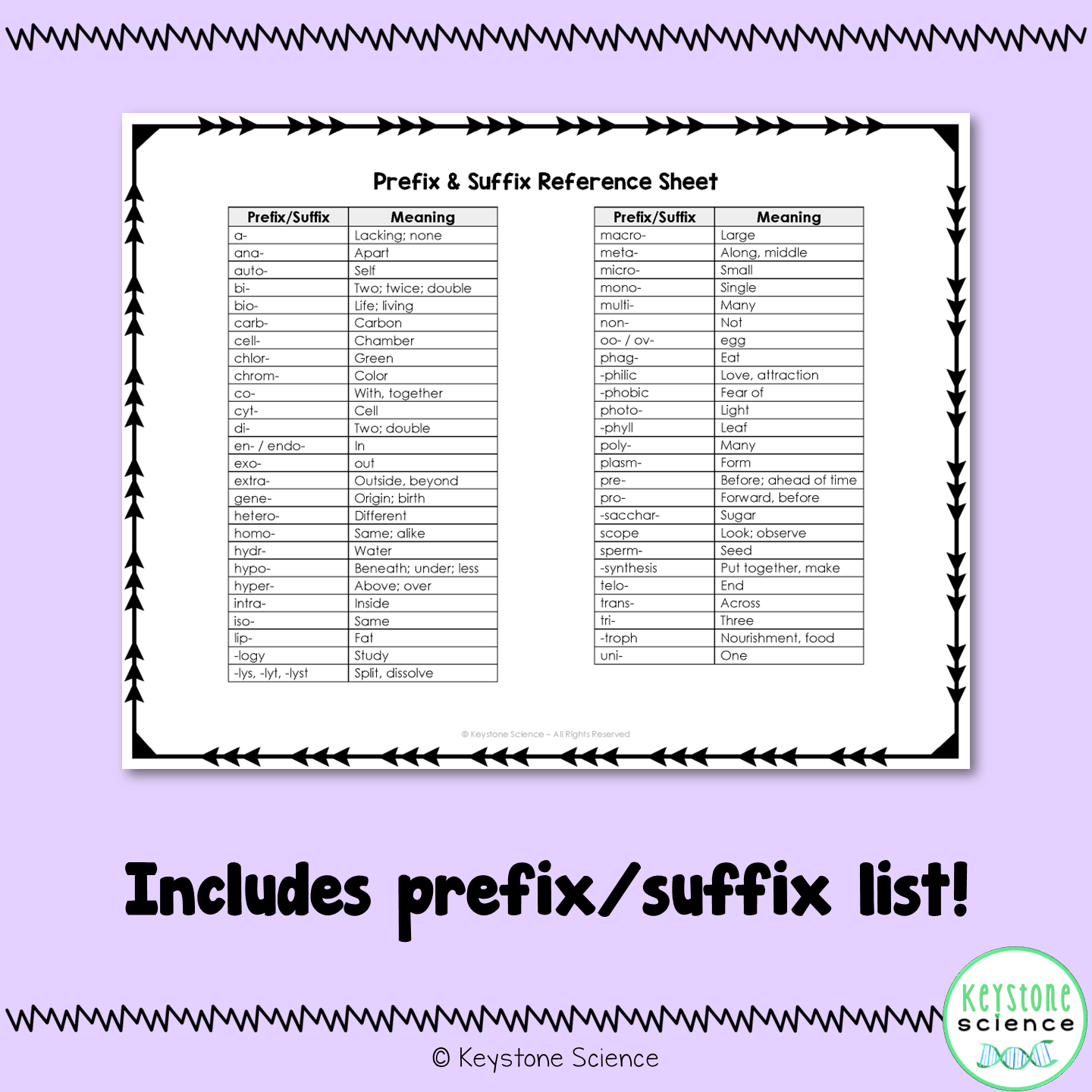 Language of Science Biology Vocabulary Prefix and Suffix Worksheet