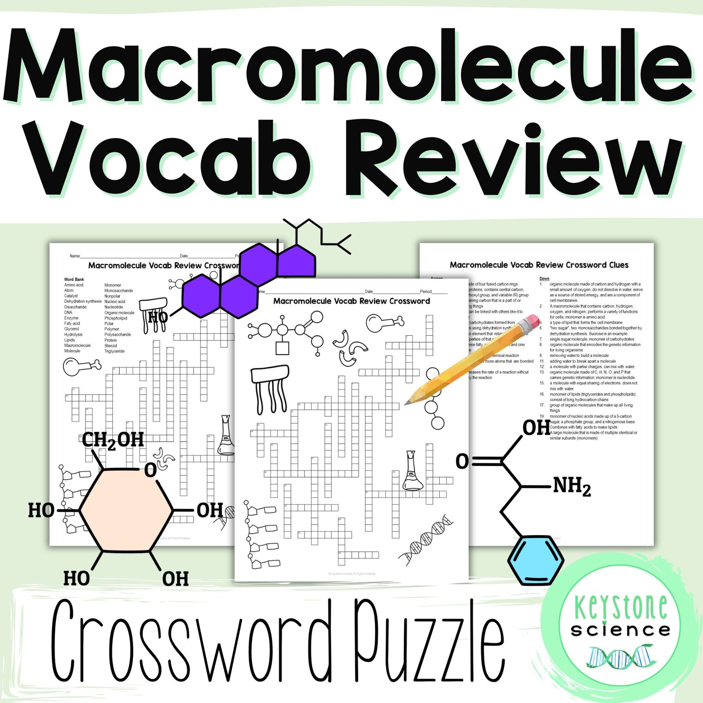 Organic Macromolecules Vocab Review Crossword Puzzle Biochemistry Molecules