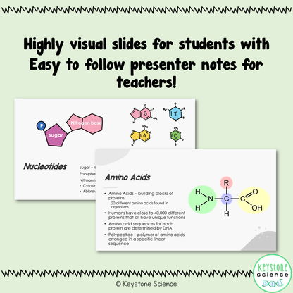 Biological Macromolecules PowerPoint Guided Notes with KEY Biology Keystone