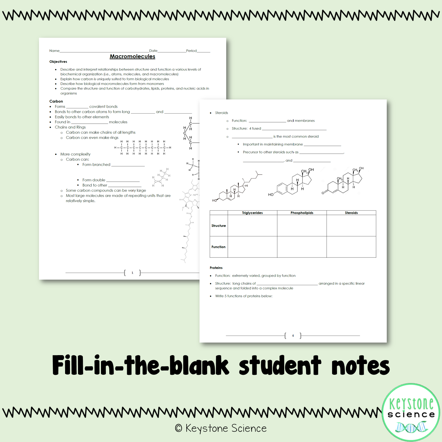 Biological Macromolecules PowerPoint Guided Notes with KEY Biology Keystone