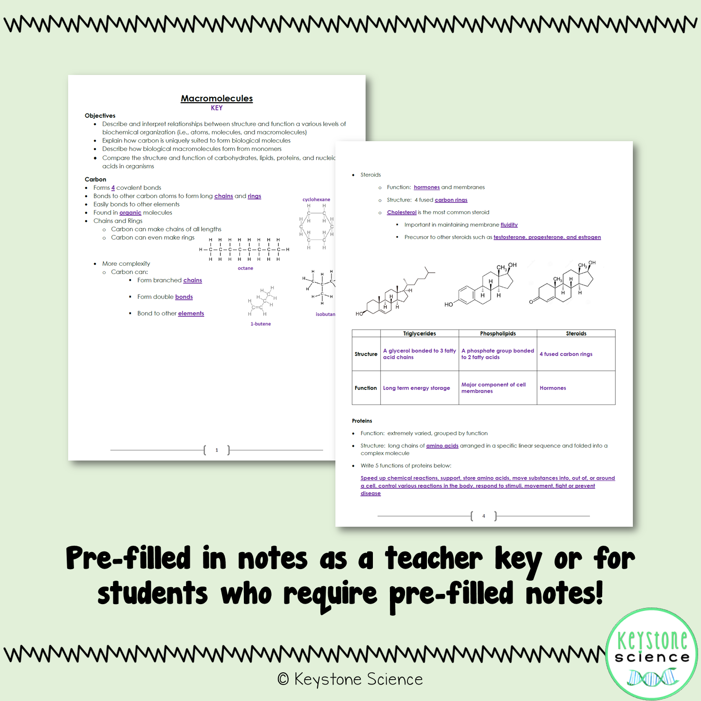 Biological Macromolecules PowerPoint Guided Notes with KEY Biology Keystone