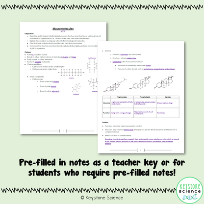 Biological Macromolecules PowerPoint Guided Notes with KEY Biology Keystone