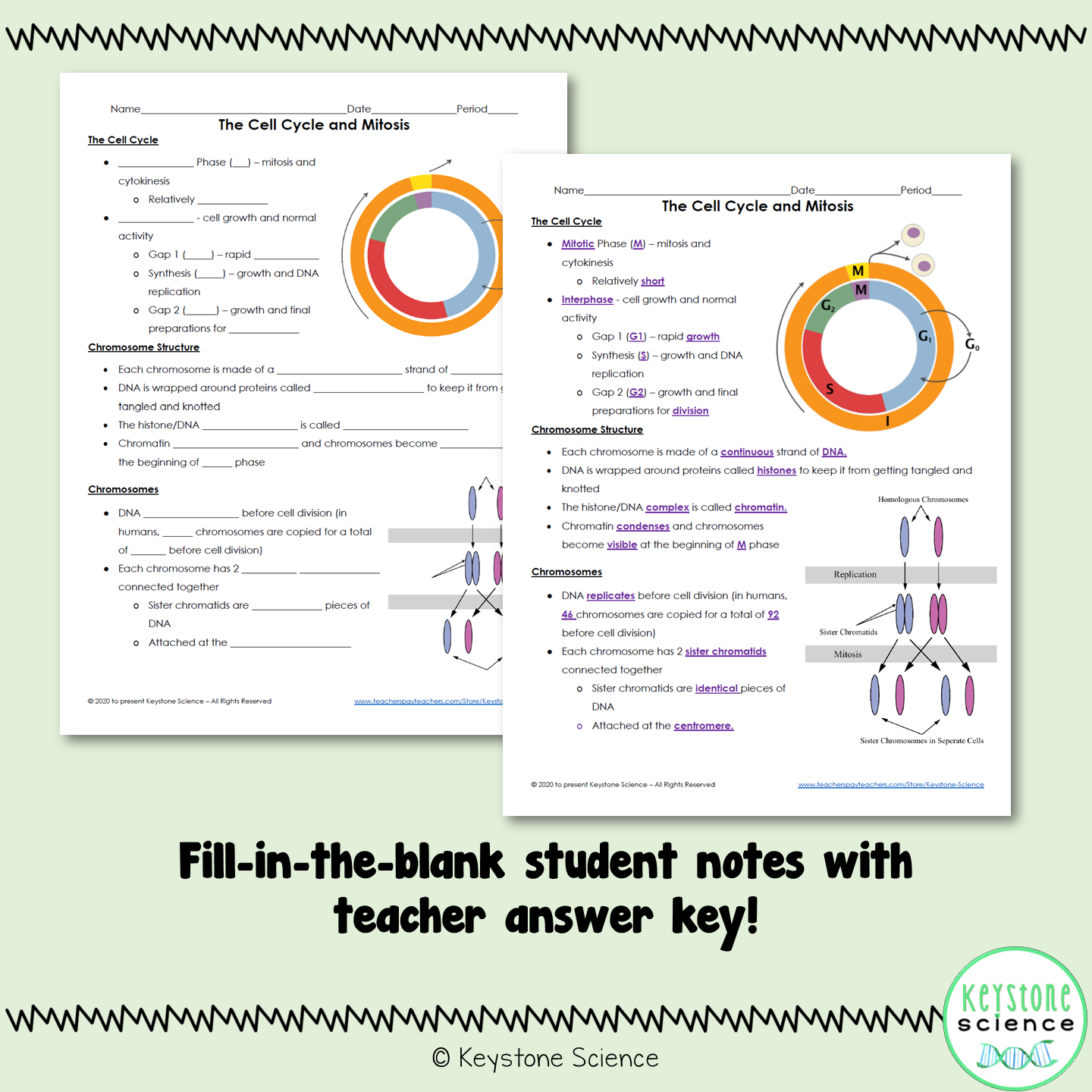 Cell Cycle and Mitosis PowerPoint and Guided Notes Biology Keystone Aligned