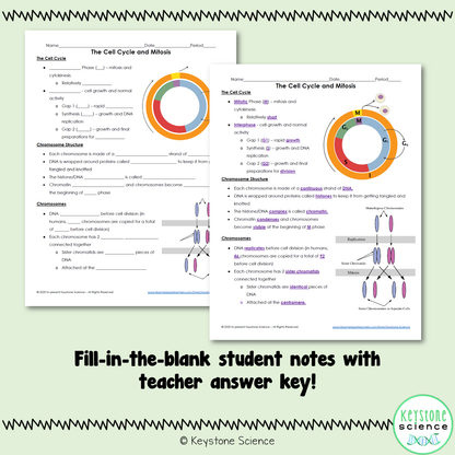 Cell Cycle and Mitosis PowerPoint and Guided Notes Biology Keystone Aligned