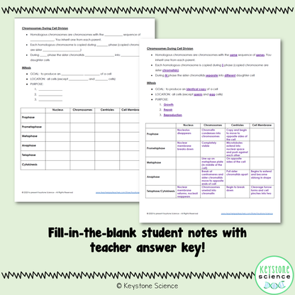 Cell Cycle and Mitosis PowerPoint and Guided Notes Biology Keystone Aligned