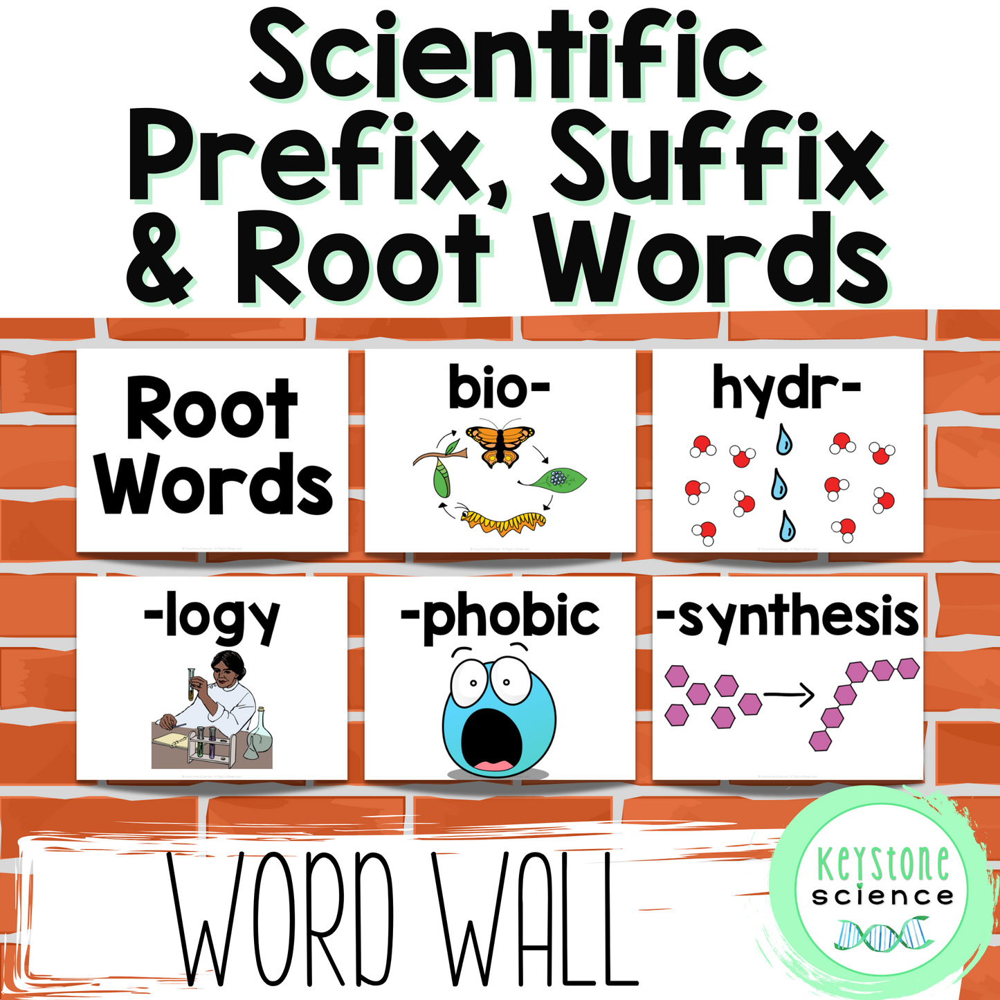 Science Word Wall Prefix, Suffix, and Root Word Vocabulary Terms ESL ELL