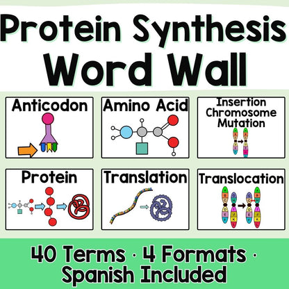 Protein Synthesis and Mutations Word Wall and Vocabulary ESL, ELL