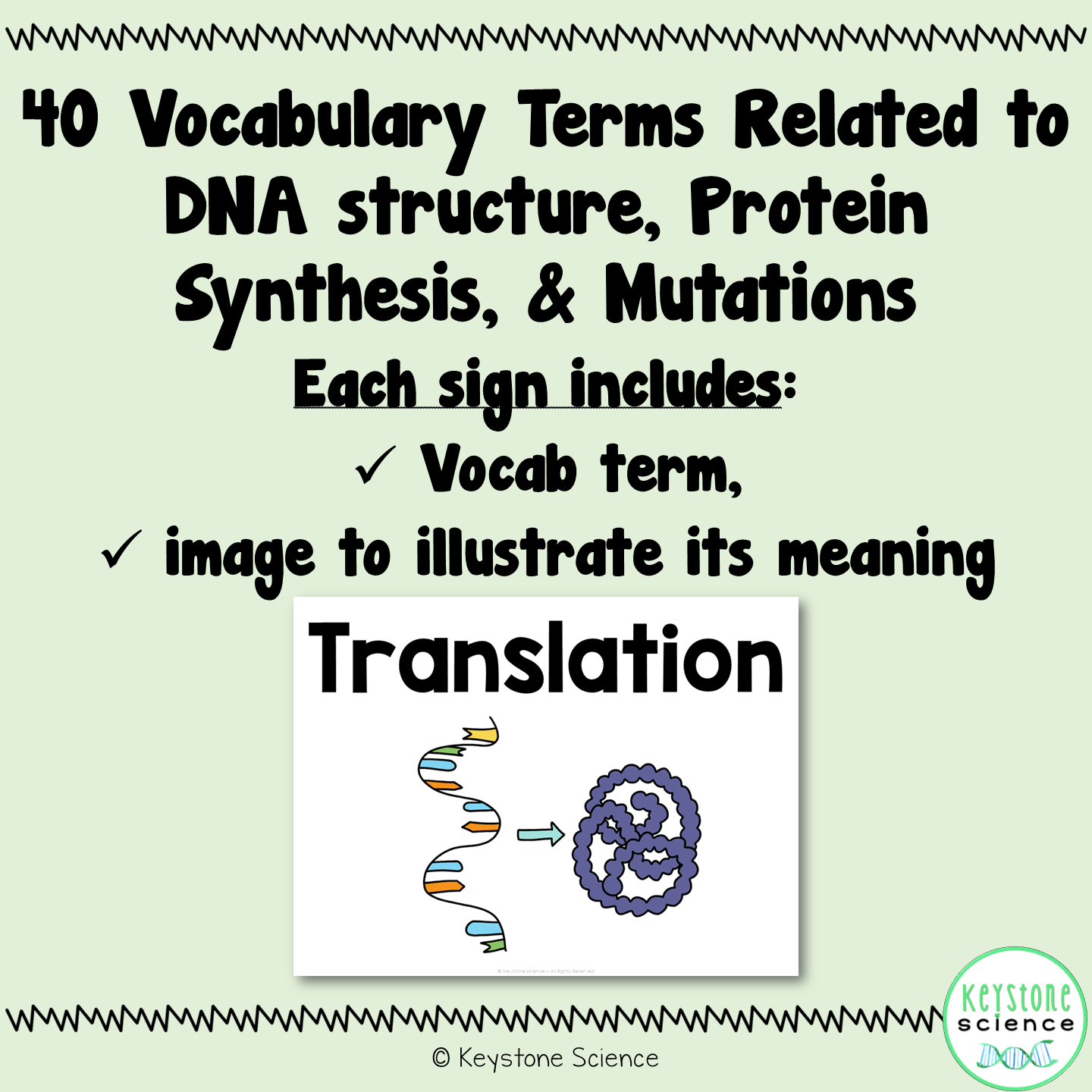 Protein Synthesis and Mutations Word Wall and Vocabulary ESL, ELL