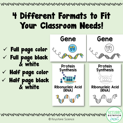 Protein Synthesis and Mutations Word Wall and Vocabulary ESL, ELL