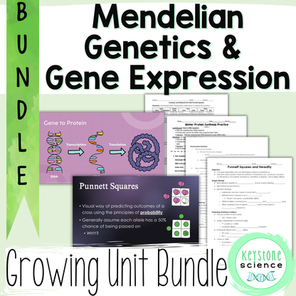Genetics Unit Punnett Squares Protein Synthesis Keystone Aligned Growing Bundle