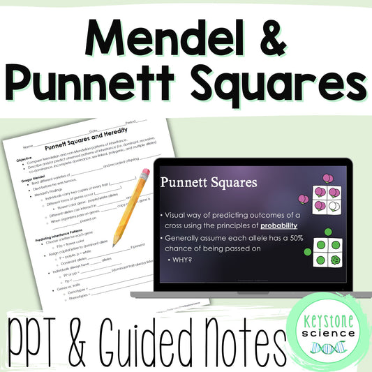 Punnett Squares Mendelian Genetics PowerPoint Slides with Guided Notes and key