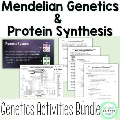 Genetics Unit Punnett Squares Protein Synthesis Keystone Aligned Growing Bundle