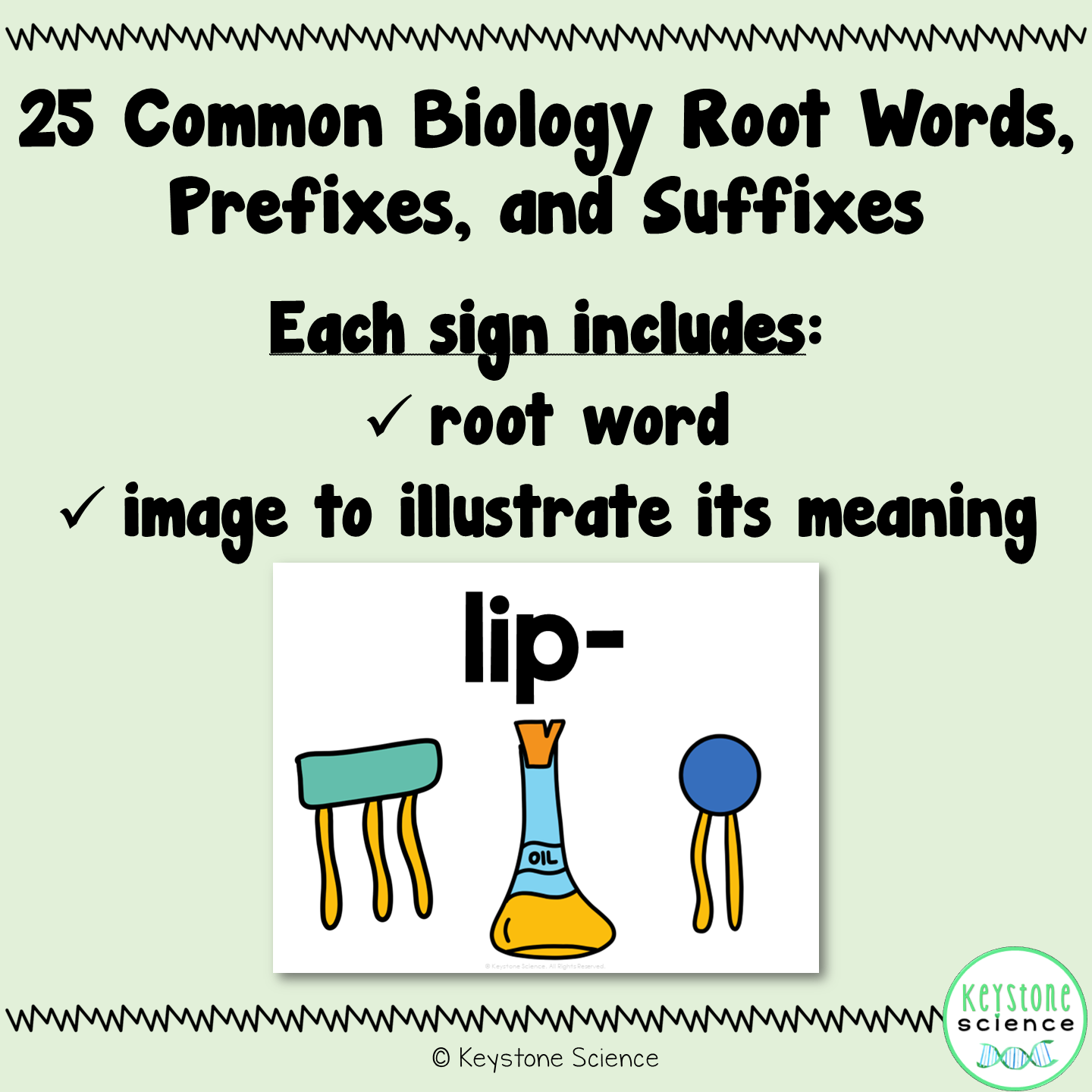 Science Word Wall Prefix, Suffix, and Root Word Vocabulary Terms ESL ELL