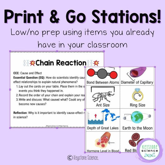 Crosscutting Concepts NGSS Introduction Stations