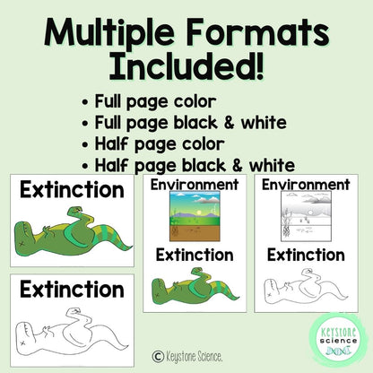 Ecology, Symbiotic Relationships Biology Word Wall and Vocabulary ELL, ESL