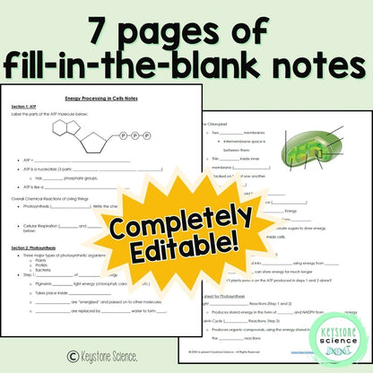 Cellular Respiration Photosynthesis PowerPoint and Guided Notes Keystone Aligned