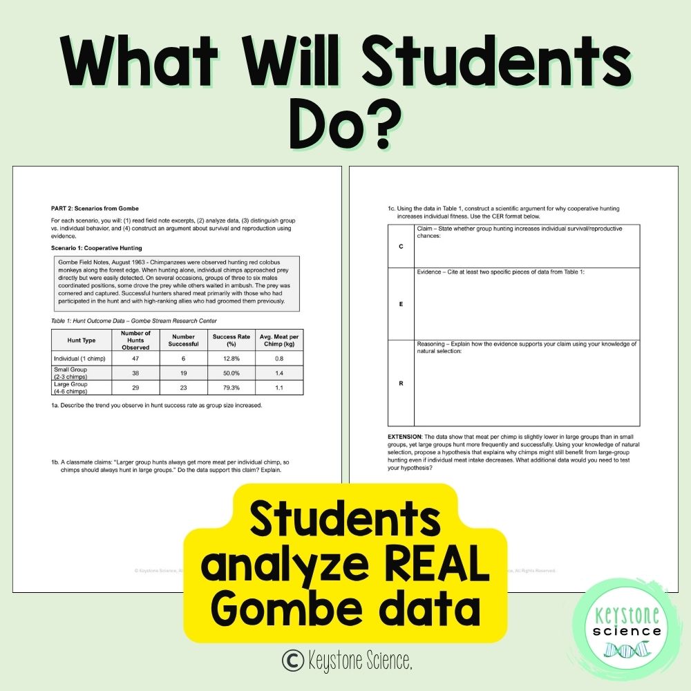 Jane Goodall Chimp Group Behavior Research Data Analysis CER Writing