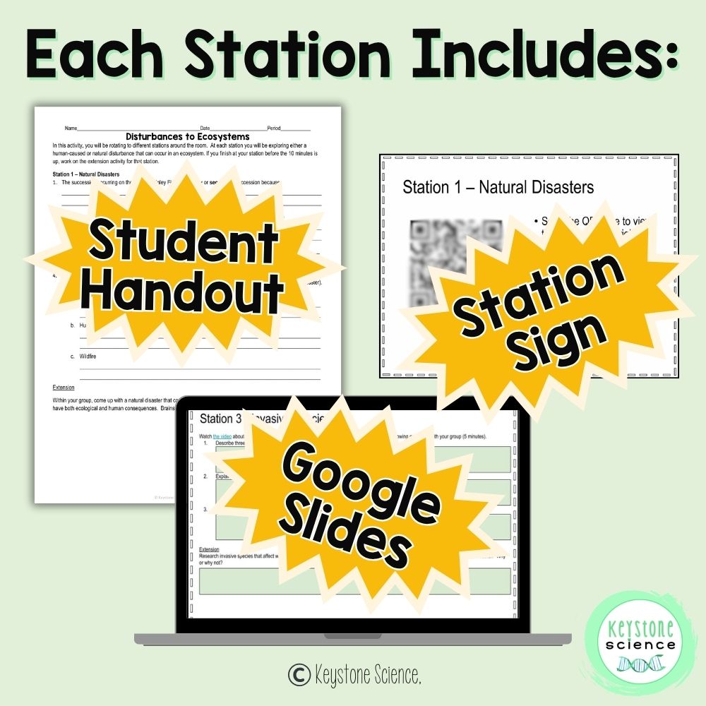Ecological Disturbances to Ecosystems Succession Stations Biology Review