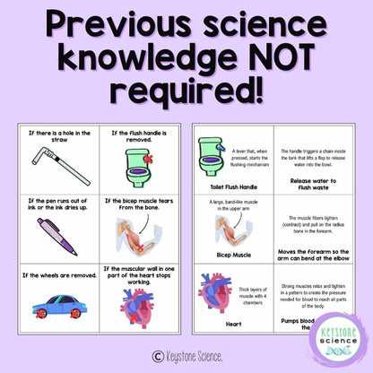 NGSS Structure & Function Station Crosscutting Concepts Activity High School