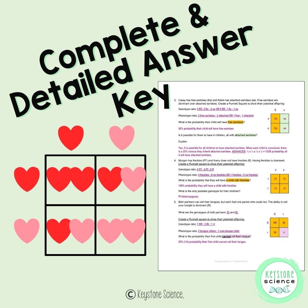 Punnett Square Worksheet Mendelian Valentine's Day Monohybrid Dihybrid NGSS