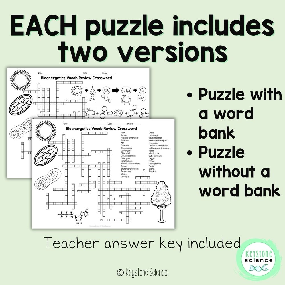 Differentiated Biology Vocabulary Review Crossword Puzzle Bundle