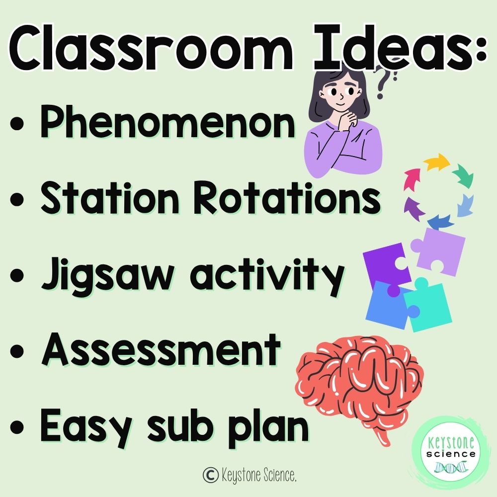 Ecological Disturbances to Ecosystems Succession Stations Biology Review