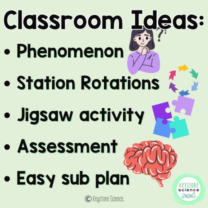 Ecological Disturbances to Ecosystems Succession Stations Biology Review
