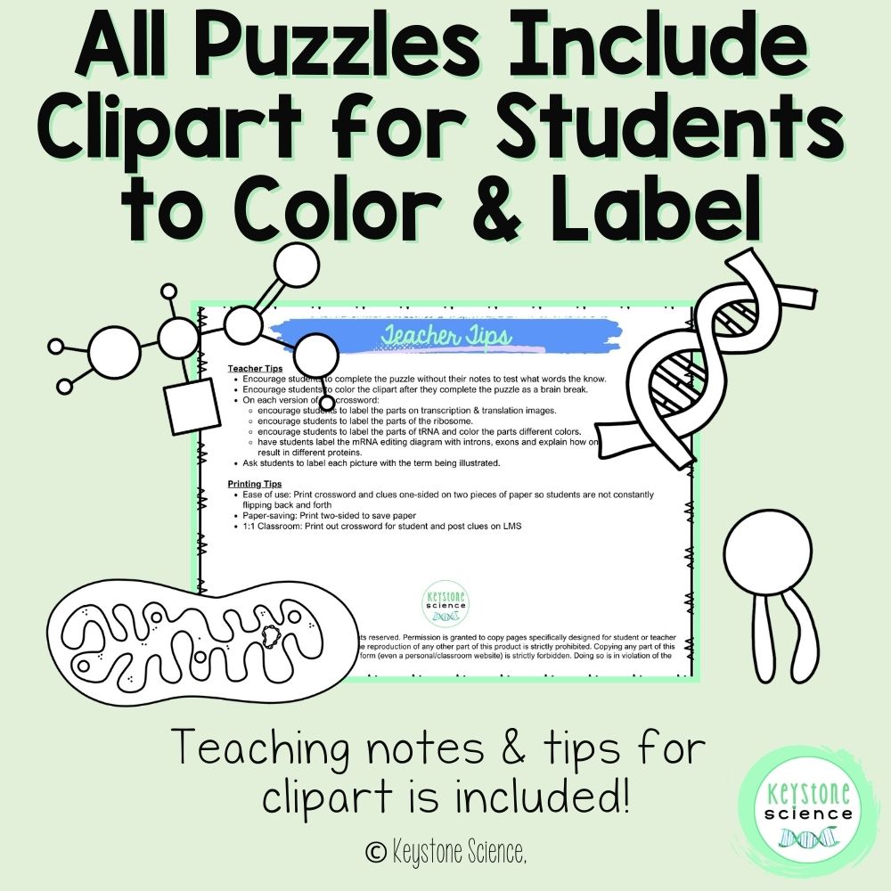 Differentiated Biology Vocabulary Review Crossword Puzzle Bundle