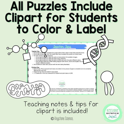 Differentiated Biology Vocabulary Review Crossword Puzzle Bundle