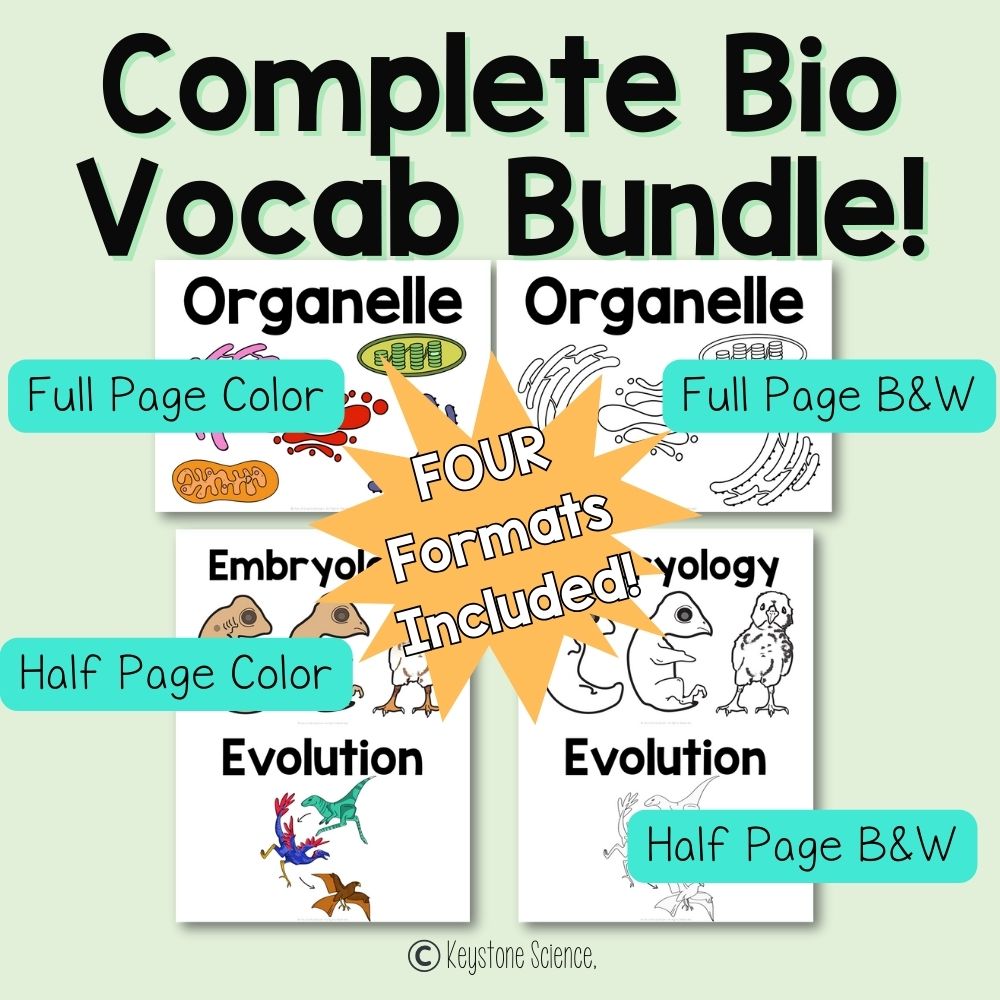 Biology Word Wall BUNDLE Prefixes, Suffixes Cells, Genetics, Evolution, Ecology