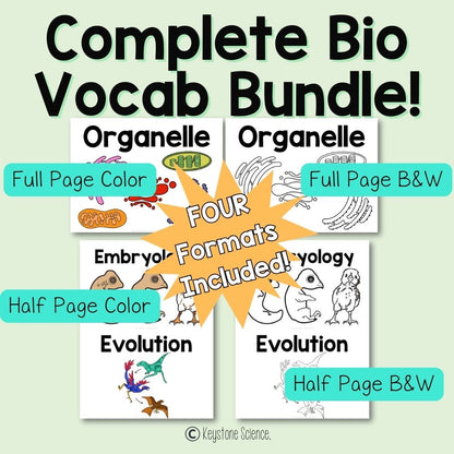 Biology Word Wall BUNDLE Prefixes, Suffixes Cells, Genetics, Evolution, Ecology