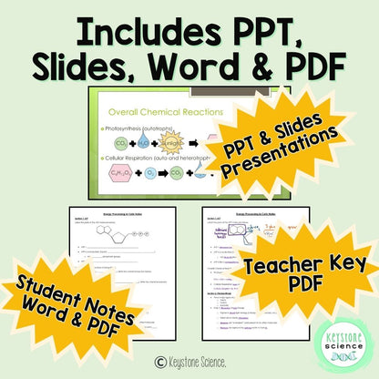 Cellular Respiration Photosynthesis PowerPoint and Guided Notes Keystone Aligned