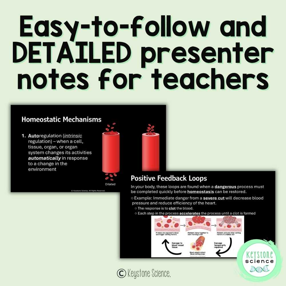 Homeostasis and Feedback Loops High School Biology Lecture Guided Notes