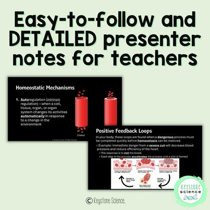 Homeostasis and Feedback Loops High School Biology Lecture Guided Notes