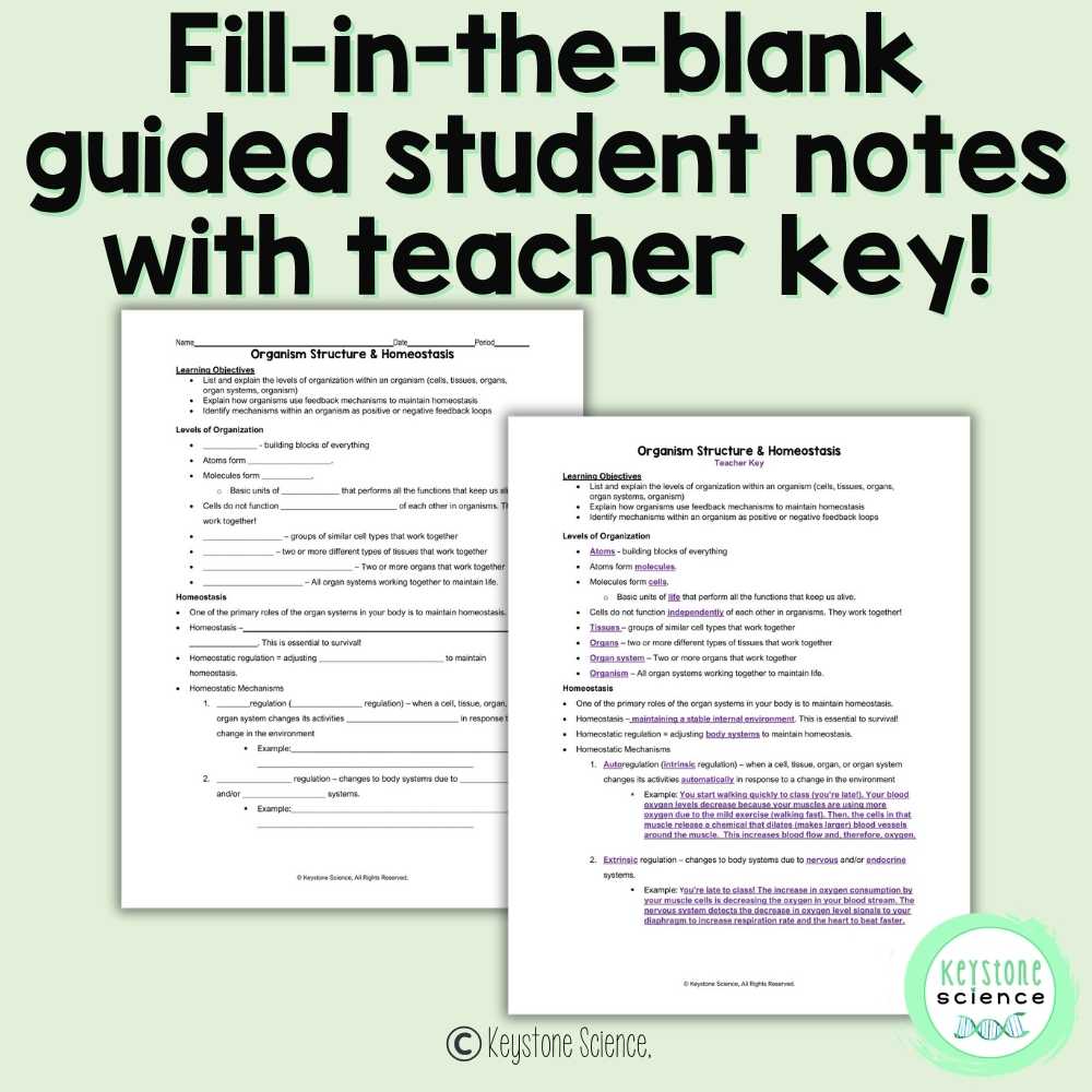 Homeostasis and Feedback Loops High School Biology Lecture Guided Notes