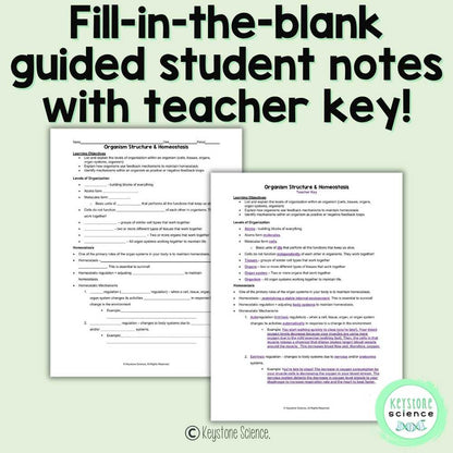 Homeostasis and Feedback Loops High School Biology Lecture Guided Notes